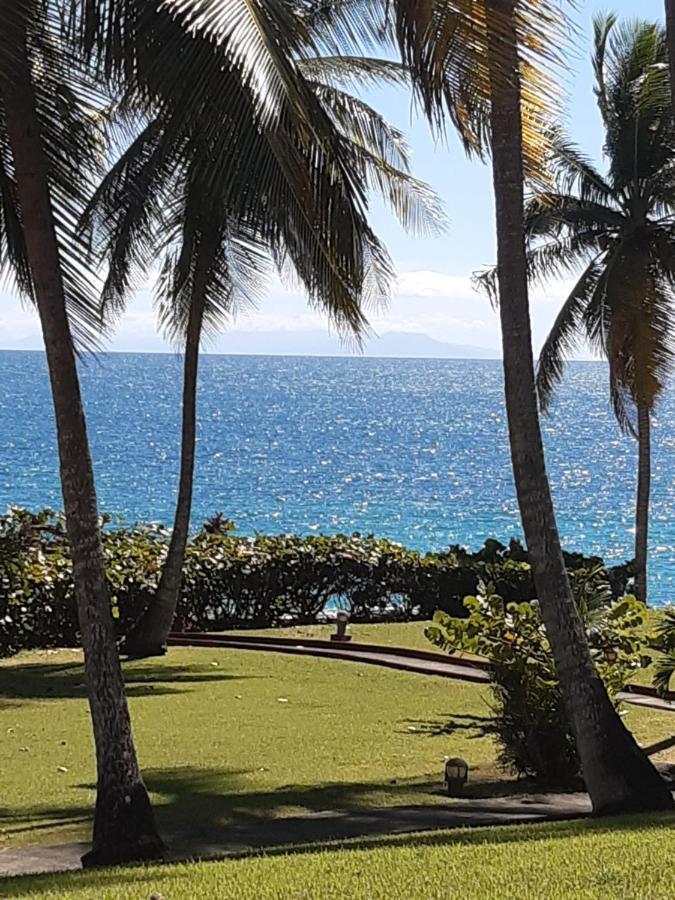 Studio En Bord De Mer - Residence La Vieille Tour เลอโกซิเยร์ ภายนอก รูปภาพ